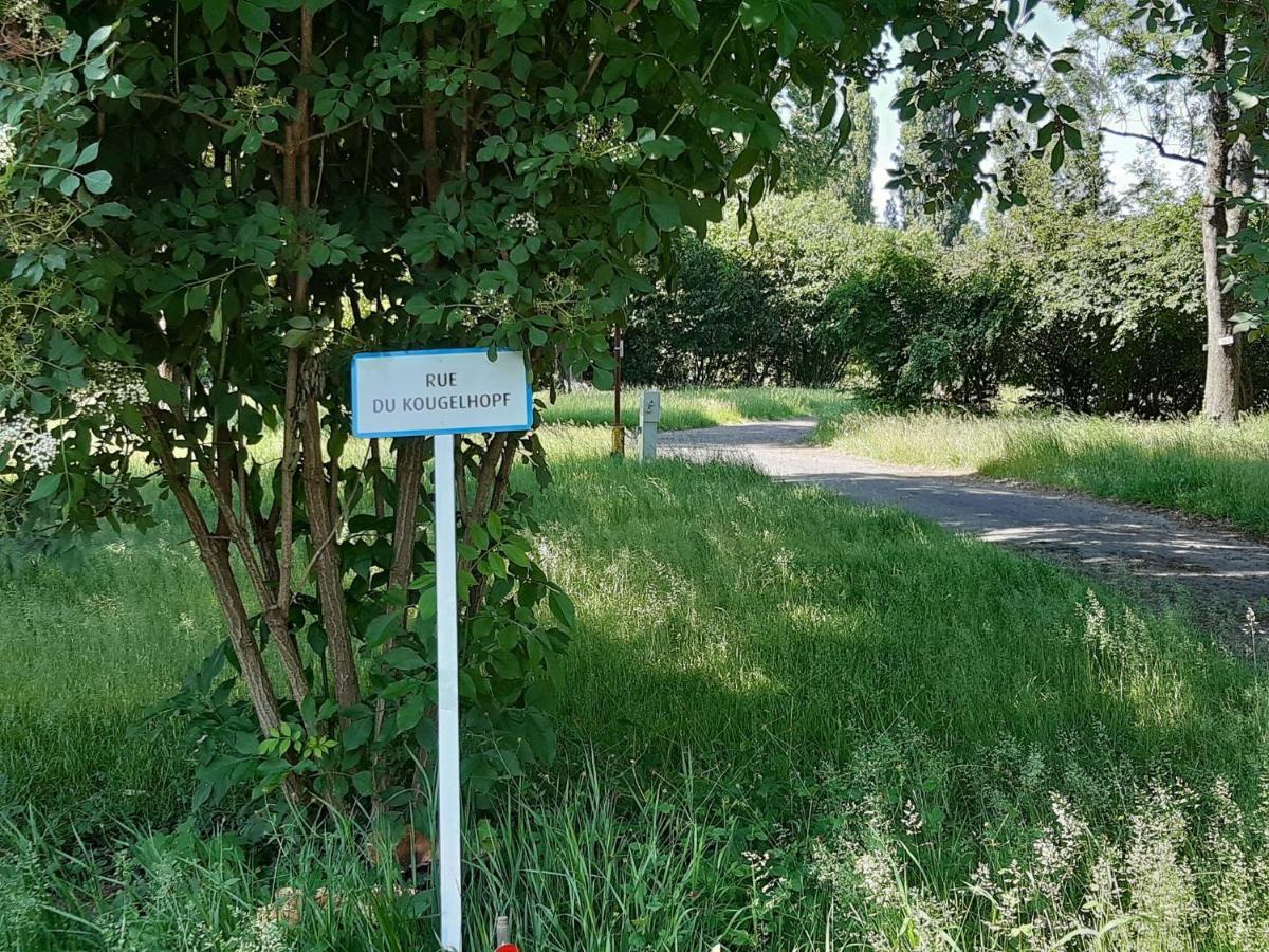 Camping De L'Ill Mulhouse Exterior foto